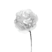 Avatar for jiuniangzi