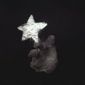 starfish - Single