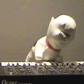 Avatar für yr_dog