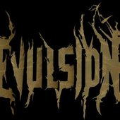 evulsionlogo.jpg