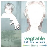 Hit By A Car