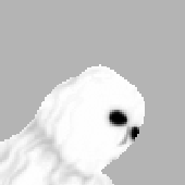 Avatar for meowie_exe