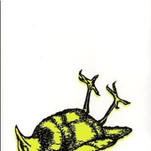 Avatar di oskar-schell