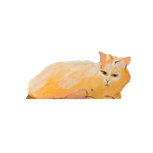 Avatar für alfrh02