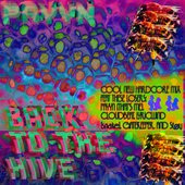 Back to the Hive