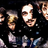 C-Turtle-band-696x442.jpg