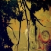 Avatar for girrl72