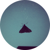 Avatar di Snowerri