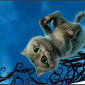 Avatar for Lolitha22