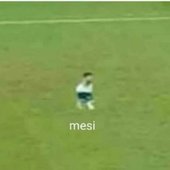 mesi