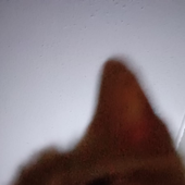 Avatar für Lihinn
