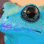Avatar de xRodriEx