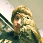 Avatar for CasioWhore