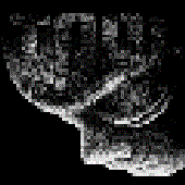 Avatar for 2nosedt