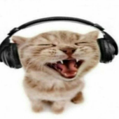 Avatar di ilunacs