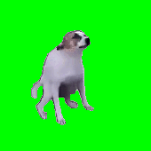 Avatar for flying_for_fun