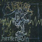 Hersenpuin