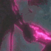 firegut için avatar