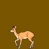 Avatar for OnionDatabase