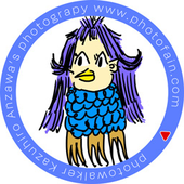 Avatar for kaz0044