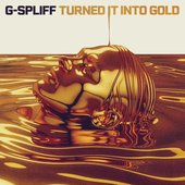 Turned It Into Gold - Single
