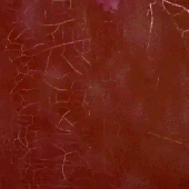 Avatar for PudicoFervor