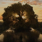 Avatar di ThursdayBloom