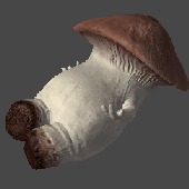 Avatar di fugitivus