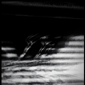 Avatar for ohrobot