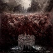 Elucidations on Flesh Paradoxes