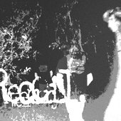 Recoil - Single