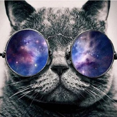 Avatar für scapolite