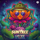 Lotus - Single