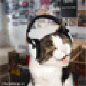 Avatar for FlorisD