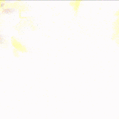 Avatar for DS8462
