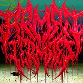 bandcamp picture