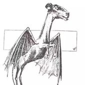 0013661956_10.jpg