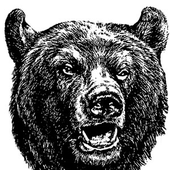 Avatar for vpaz