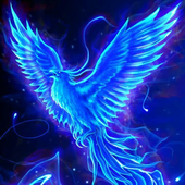 Avatar di fenix000