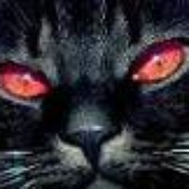 Awatar dla MonsterInside