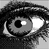 Avatar for dillxn1