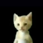 Avatar for Evandro_666