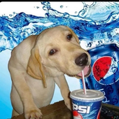 Avatar for JoeshmoeXD
