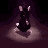 Avatar for veridisyosh