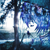 Avatar for bbbluerei