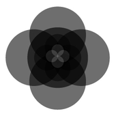 Avatar for Egor_Bashakov