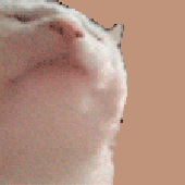 Avatar for Kag_