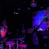 The Snailmate Show 8