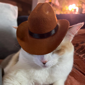 Avatar di Yetium0