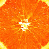 Avatar for prazdnik